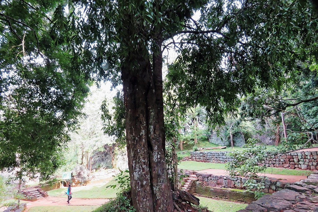 SriLan (256).jpg